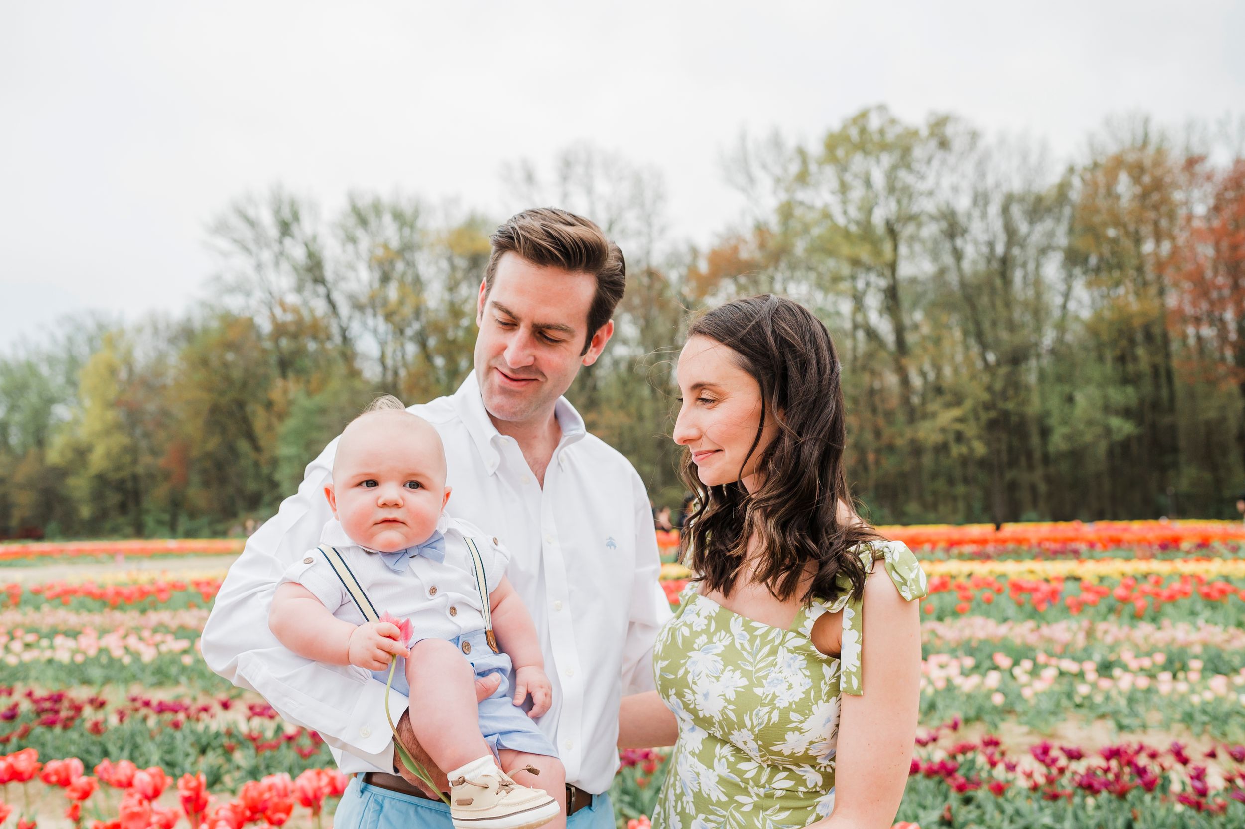 Family enjoying a spring day together amid rows of colorful blooming tulips in a flower field.