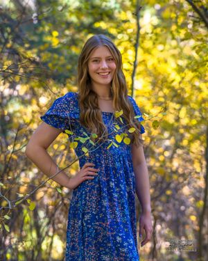 Person wearing a blue floral dress poses outdoors against a golden sunlit autumn backdrop with bokeh effect.