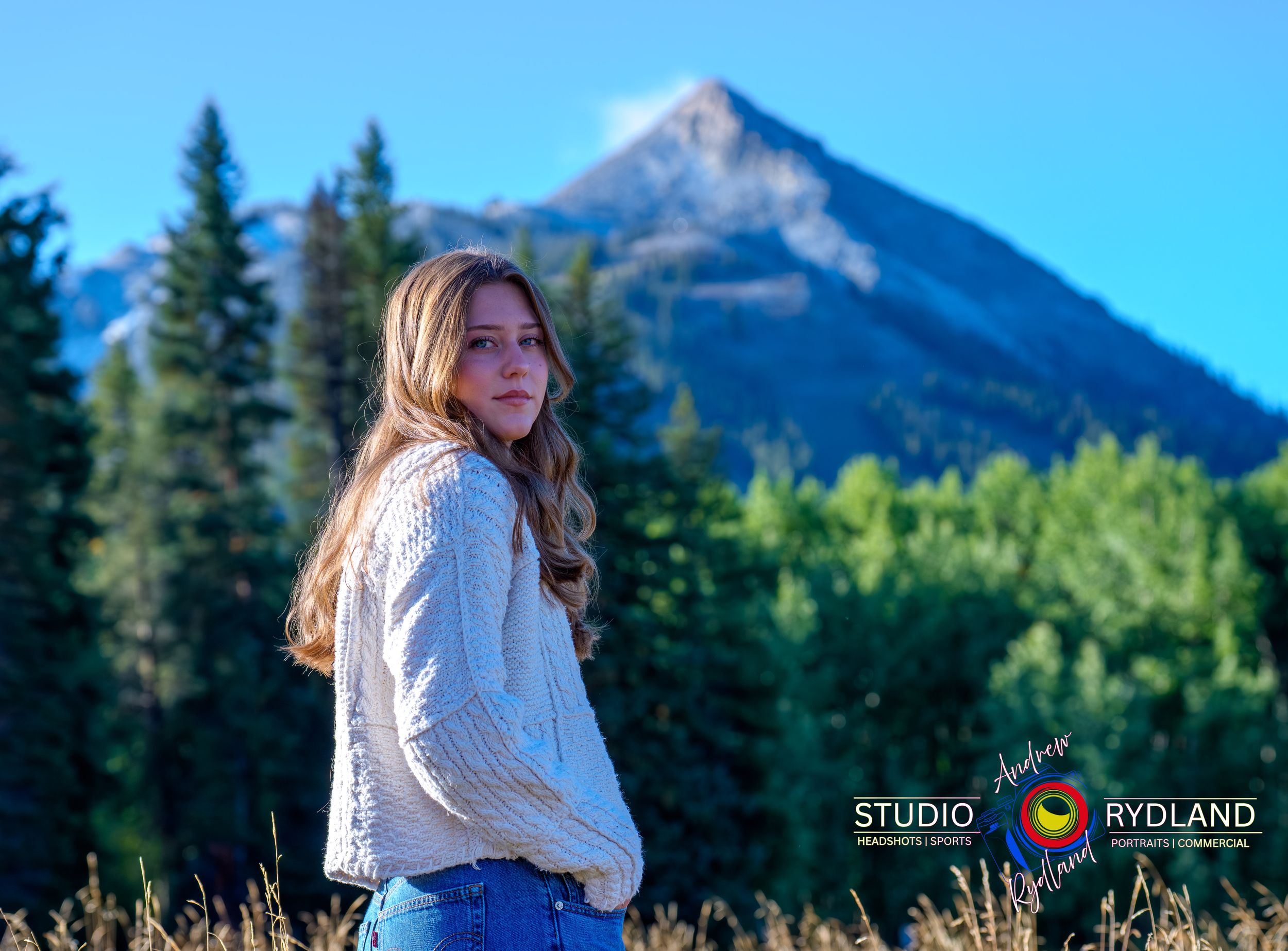 A scenic mountain landscape with evergreen trees and wildflowers in the foreground on a sunny summer day.