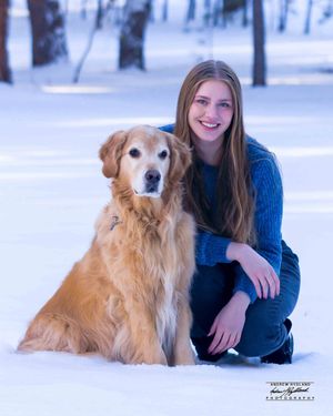 A winter scene with a Golden Retriever and their companion sitting together in the snow on a snowy day.