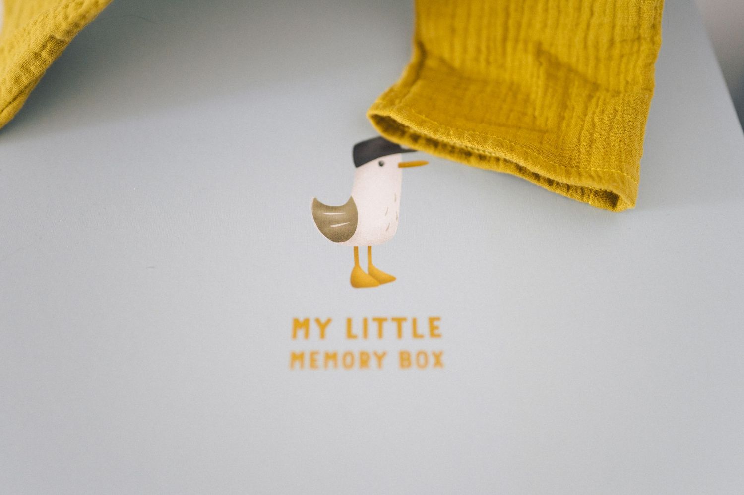 Organized memory boxes in yellow and white with magnetic closures displayed in a neat home arrangement.