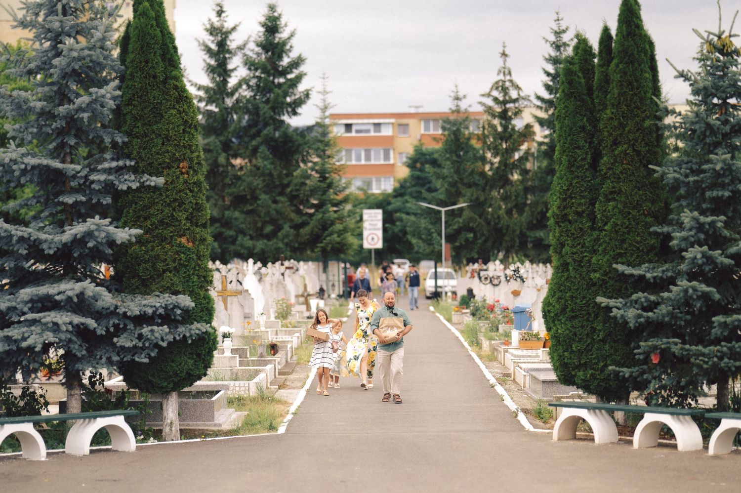 A park pathway lined with green cypress and blue spruce trees leads to a building in the background while people walk through.