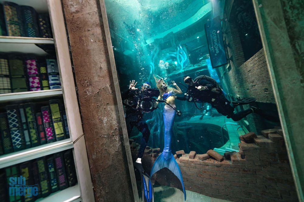 Blue laser beams dance in a dimly lit room with brick walls and shelves filled with books and electronics.