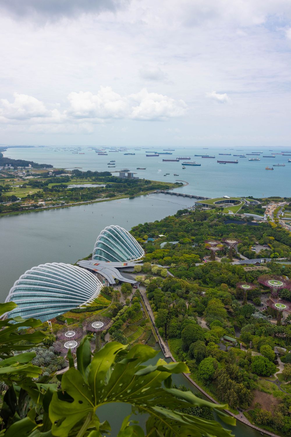 Aerial panoramic view of Singapore's Gardens by the Bay with cargo ships in the harbor and the distinctive Flower Dome structure.