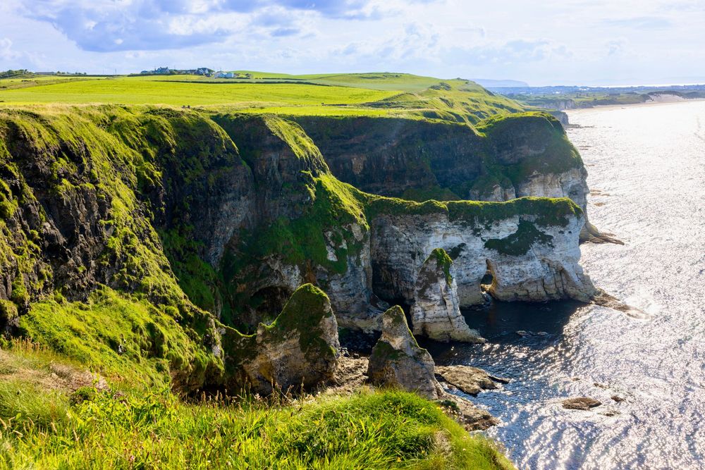 Dramatic white chalk cliffs rise from the sea along Northern Ireland's rugged coastline with green grass atop the cliffs.