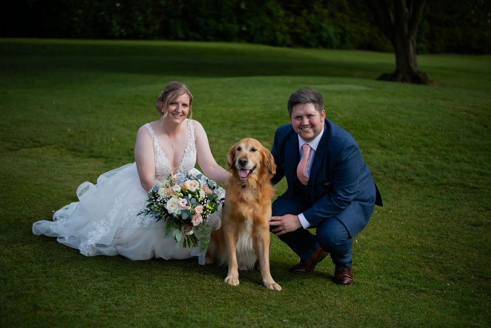 A Golden Retriever sits on green grass with a wedding couple and bouquet of flowers in an outdoor setting.