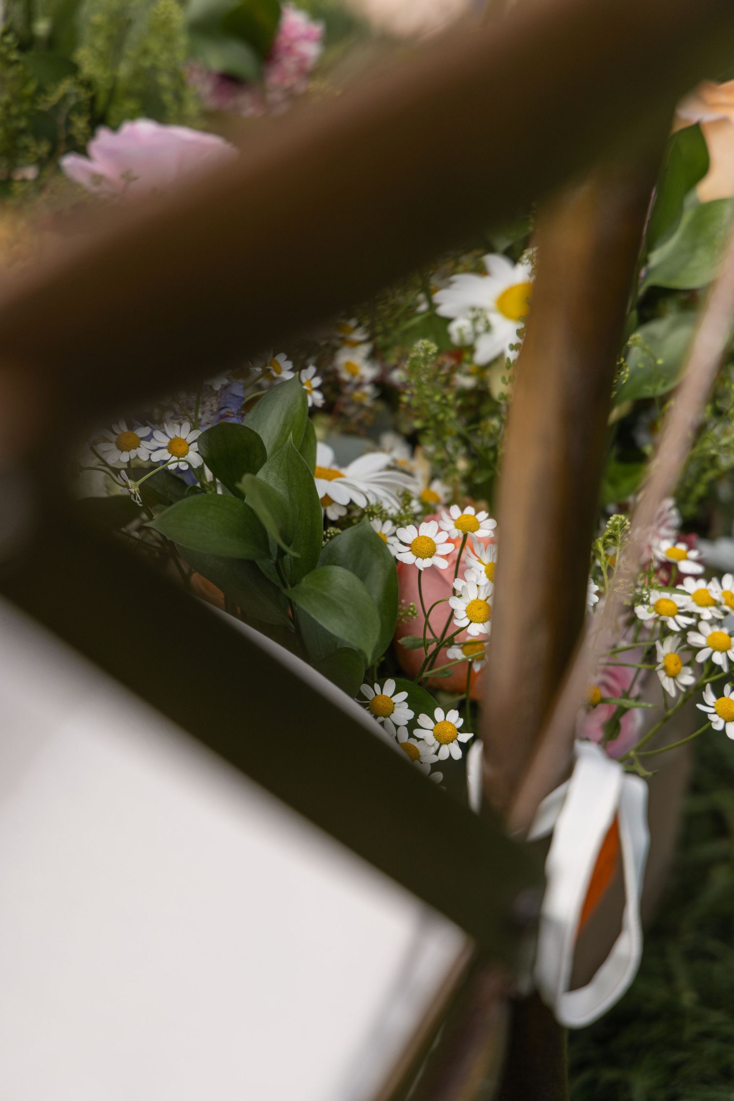 A series of white wildflowers with yellow centers grow in a garden setting seen through a soft focus lens.