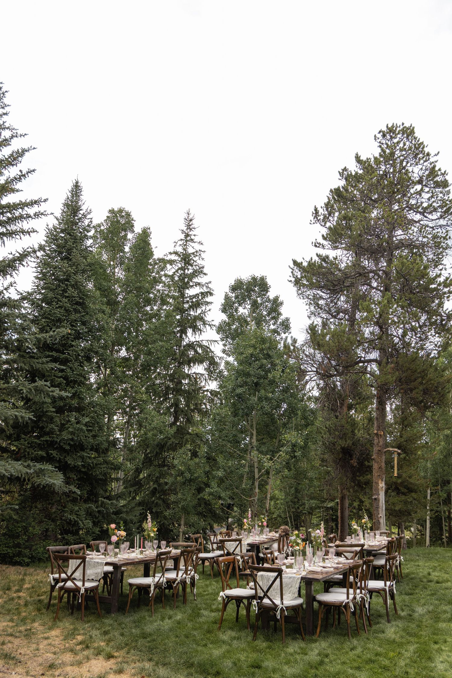 Rustic outdoor dining setup with wooden tables and chairs arranged among tall pine trees in a forest setting.