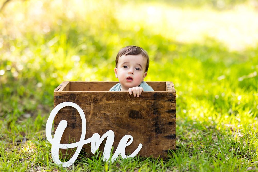 Wooden box with 'One' text placed on grass in sunlit outdoor setting creates rustic first birthday photo backdrop.