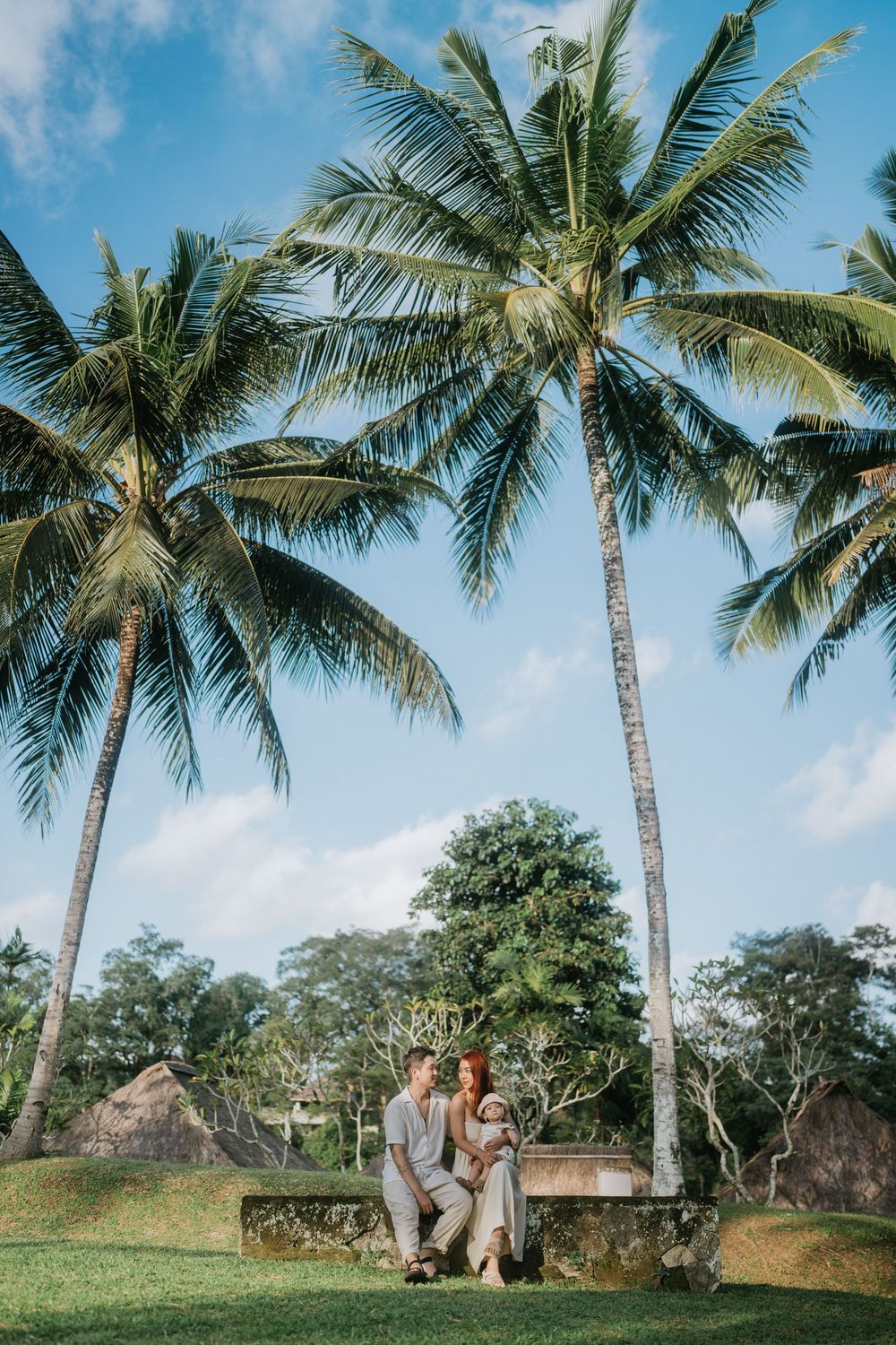 Palm trees line a lush tropical garden path on a bright sunny day.