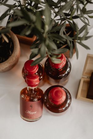 Brown glass jars and bottles with red caps sit beside green olive plant leaves against a white surface.