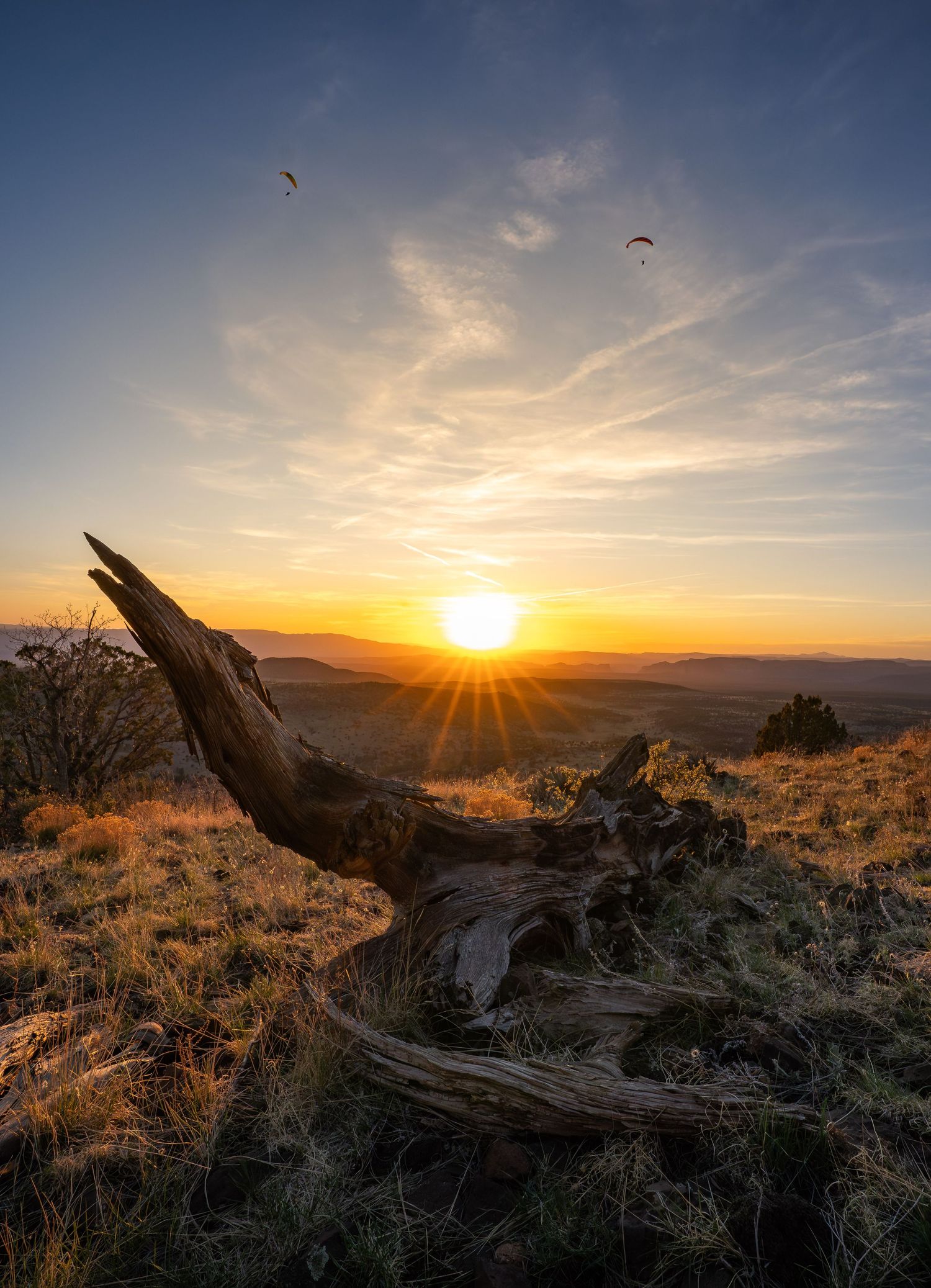 Dramatic sunset panorama over mountain landscape with silhouetted fallen tree trunk in foreground and warm golden sky.