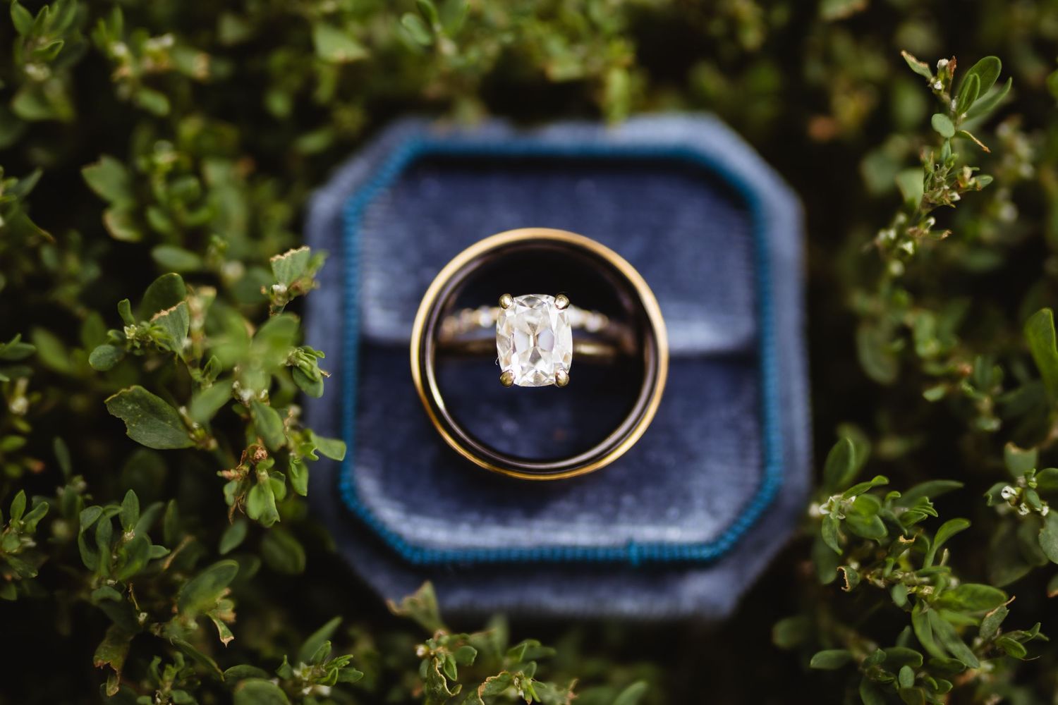 A sparkling engagement ring and wedding band rests against green foliage and a navy blue backdrop.