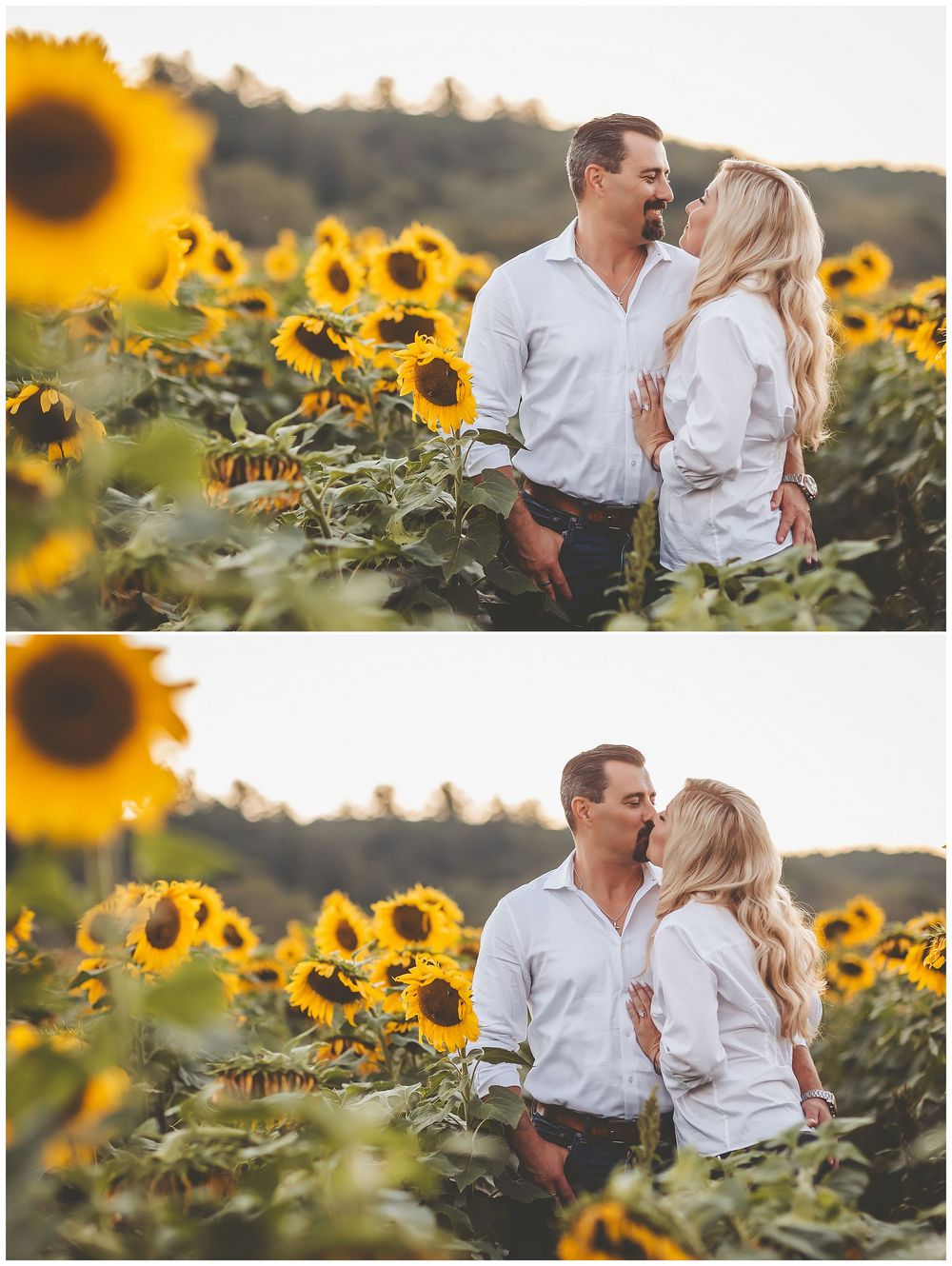 Romantic couple sharing tender moments among blooming sunflowers at golden hour in a beautiful summer field.