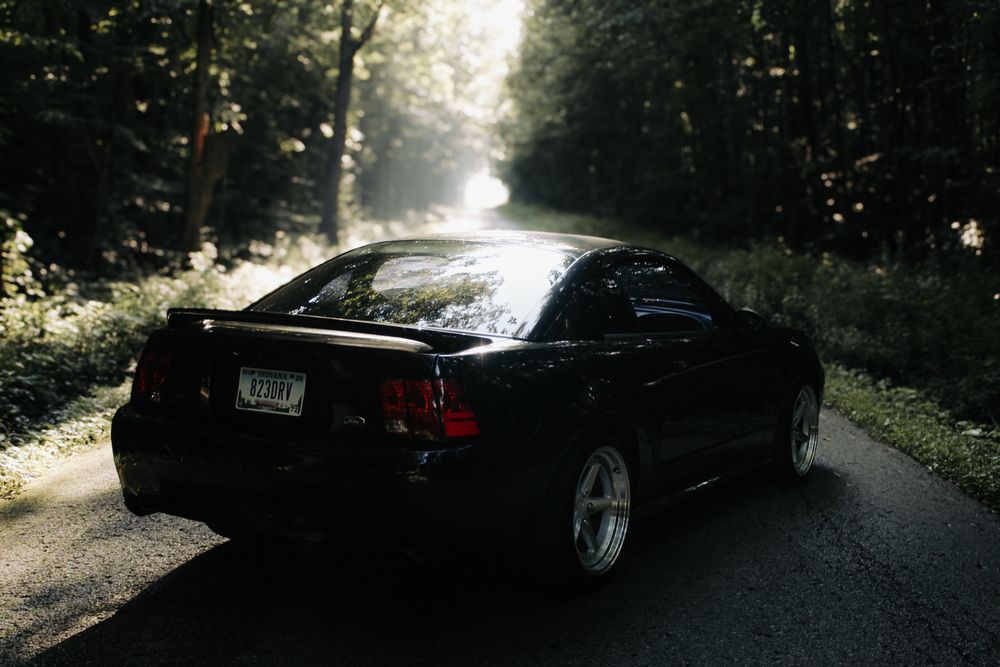 Blayden's mustang.