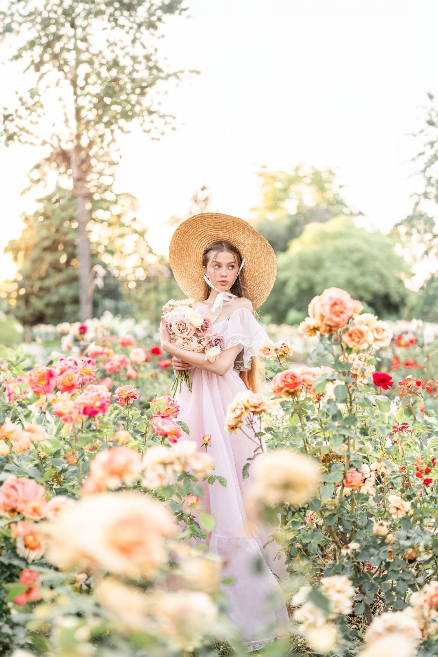 Person in pink dress walking through a garden of blooming coral and peach roses.
