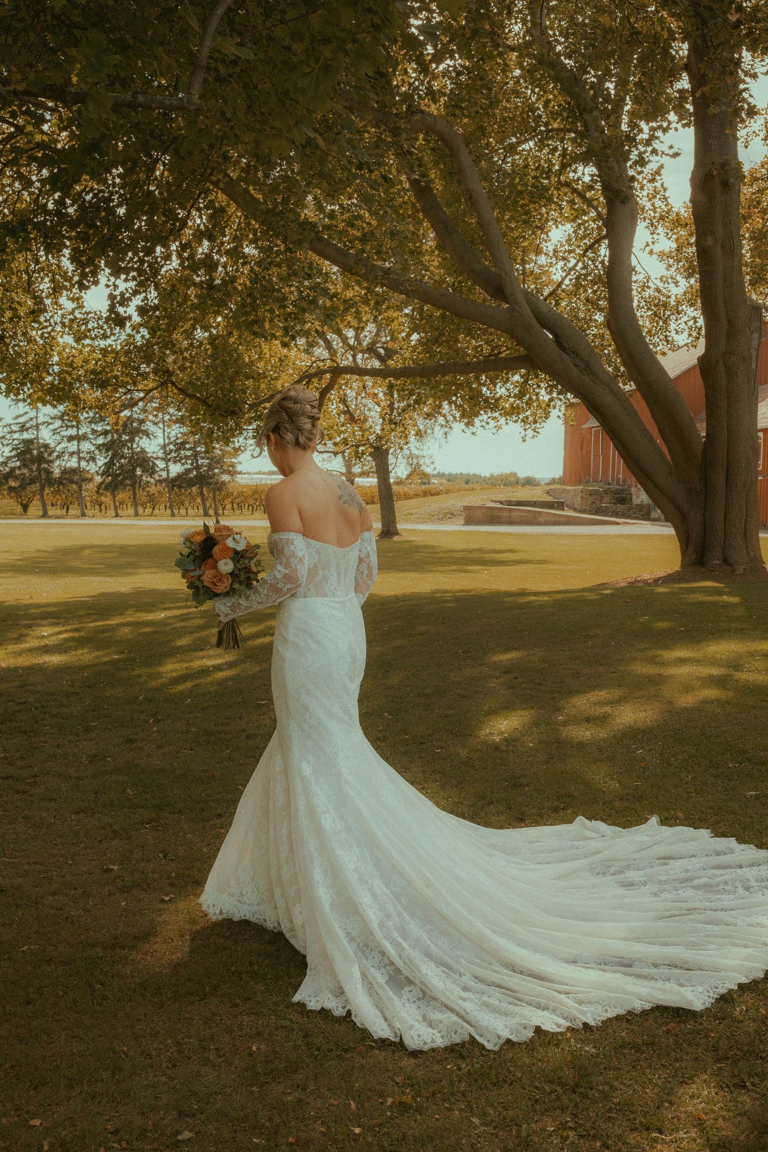 Bride in lace mermaid wedding gown with train holds bouquet under large tree at golden hour.