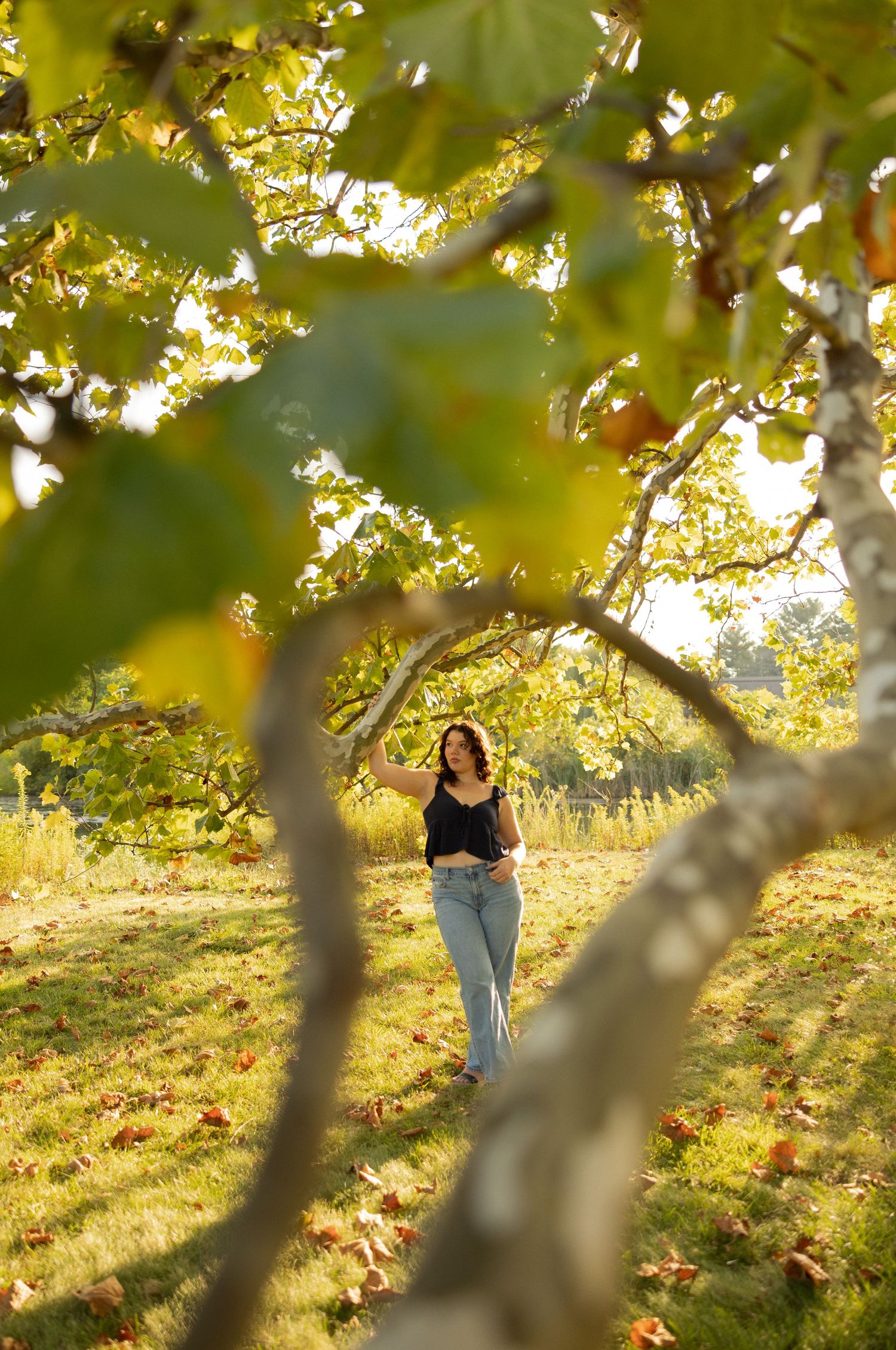 Figure standing in autumn sunlight beneath golden tree branches.