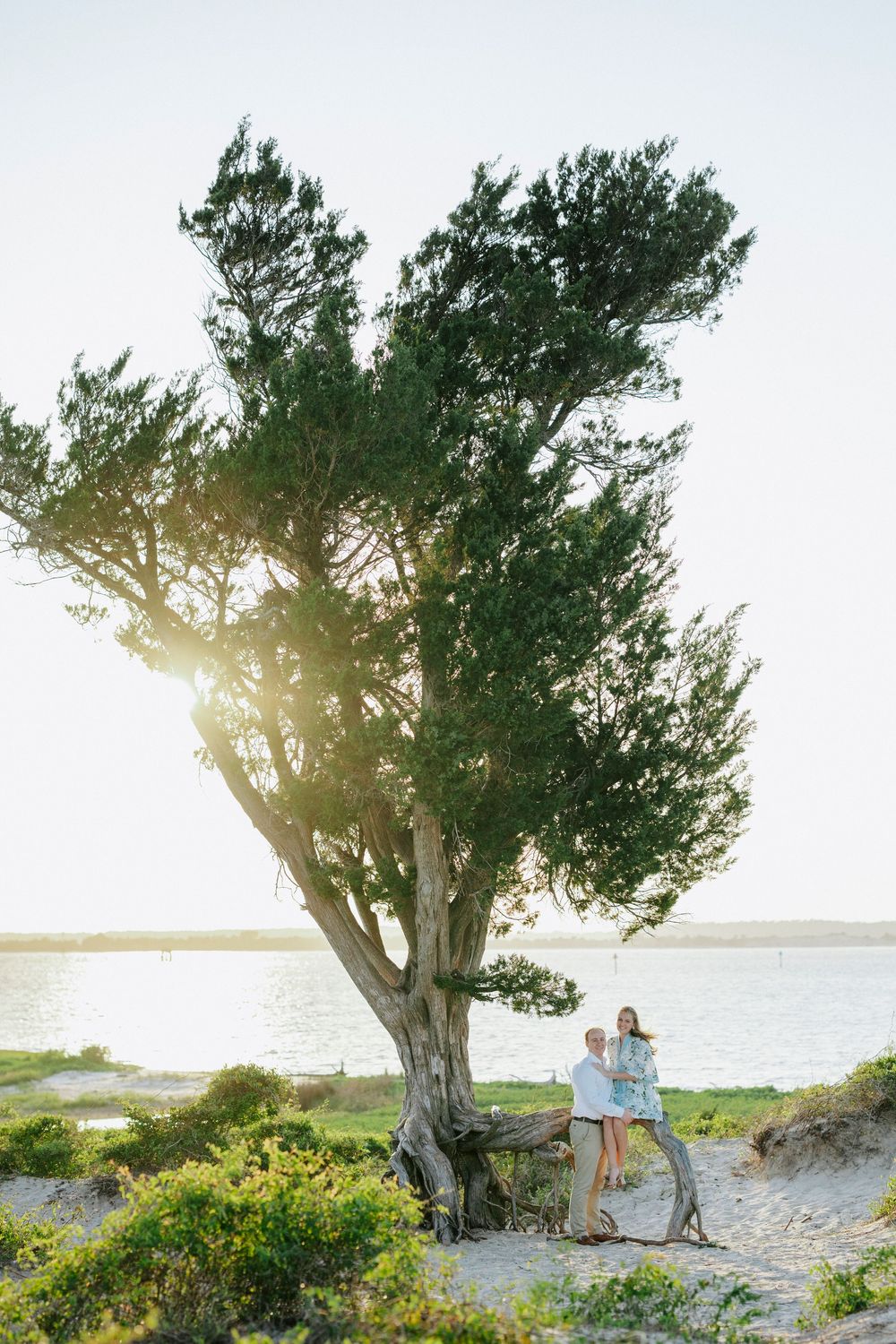Couple embracing under a large windswept tree on a sandy beach at golden hour with water in the background.