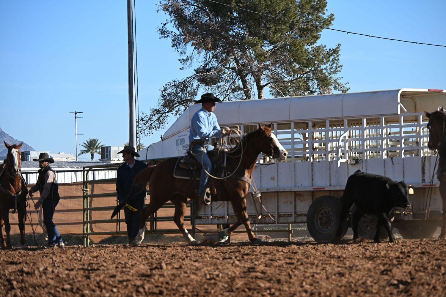 Arizona National Livestock Show 2025