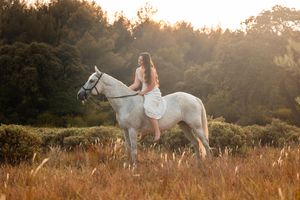 shooting équestre cornillon confoux