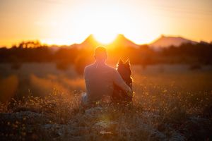 shooting chien