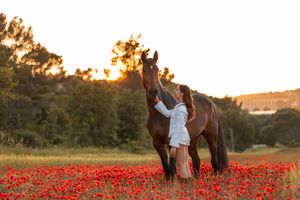 shooting équestre champs de coquelicot Aix en Provence