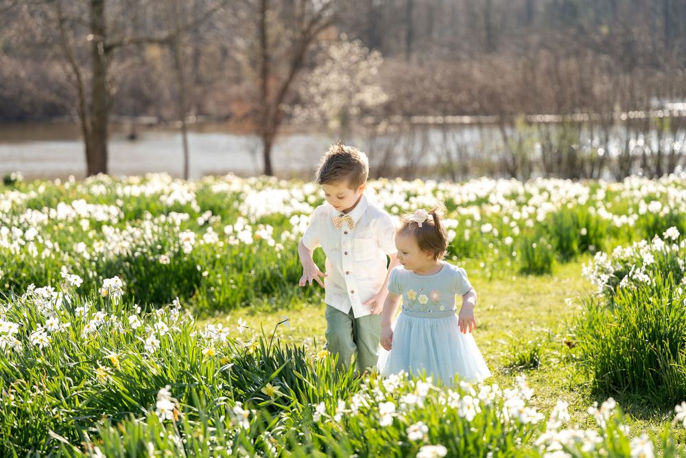 Two children walk through a sunlit field of white daffodils, a boy in a white shirt and girl in a blue dress.
