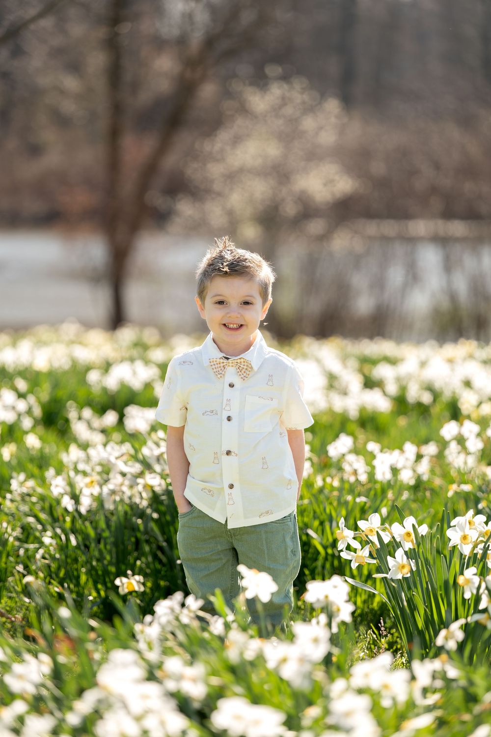 Smiling boy in bow tie and white shirt standing in field of white daffodils on sunny spring day.