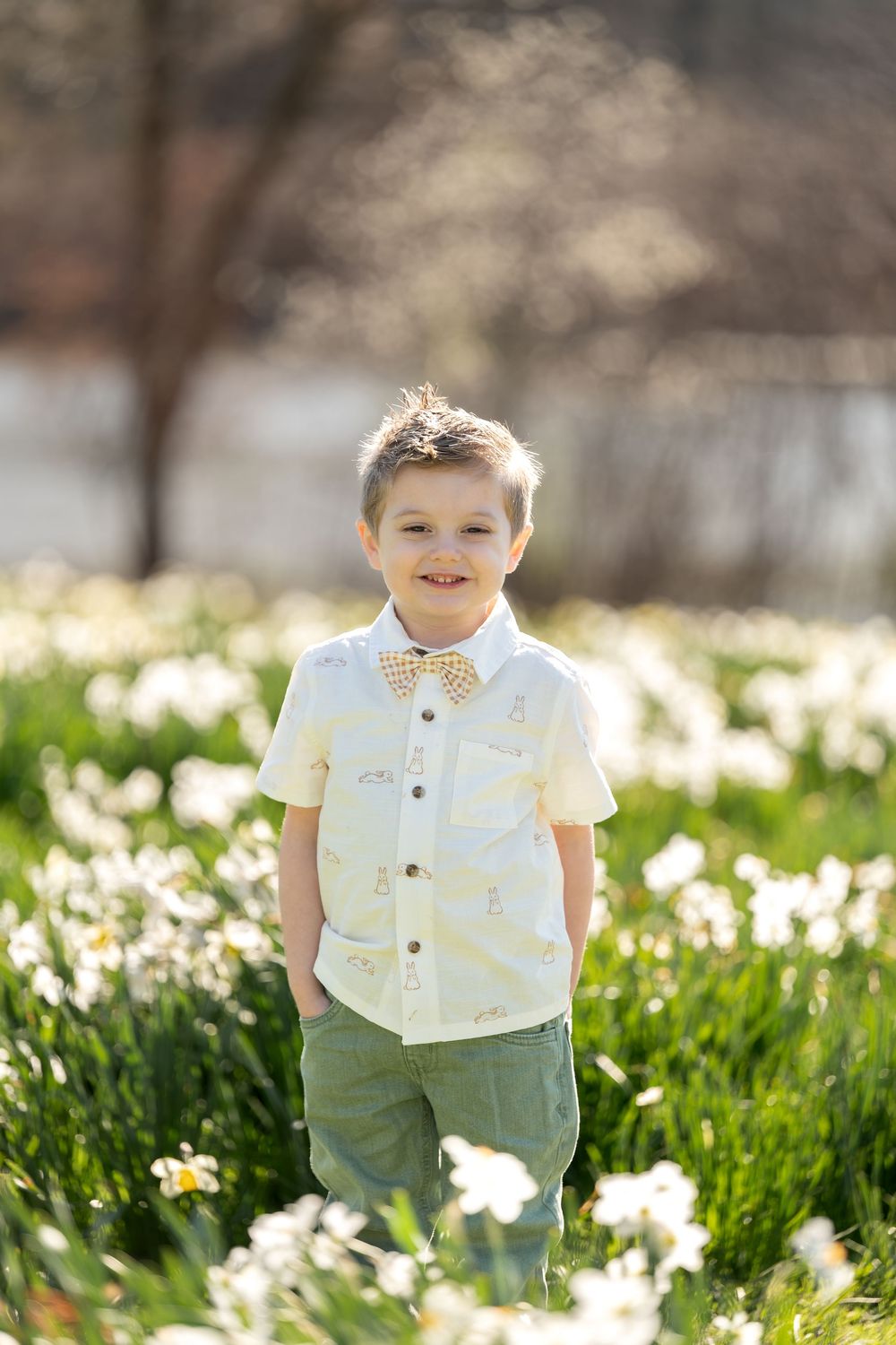 Happy young boy wearing bow tie poses in blooming white daffodil field on bright spring day.