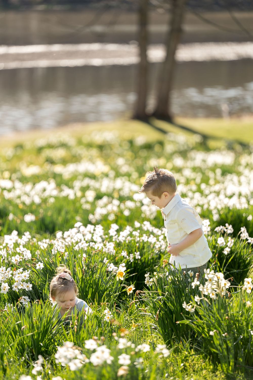 Two young siblings exploring a sunny field of white daffodils near a peaceful lake.