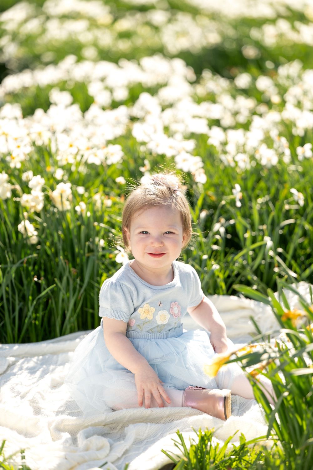 Happy smiling toddler girl in blue dress sitting on blanket in a white daffodil field.