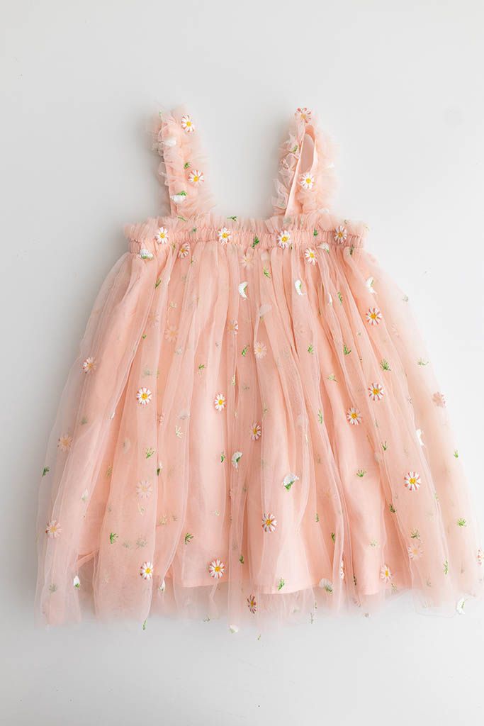 Pink tulle baby dress with floral embroidery from Murrieta baby photographer's client closet.