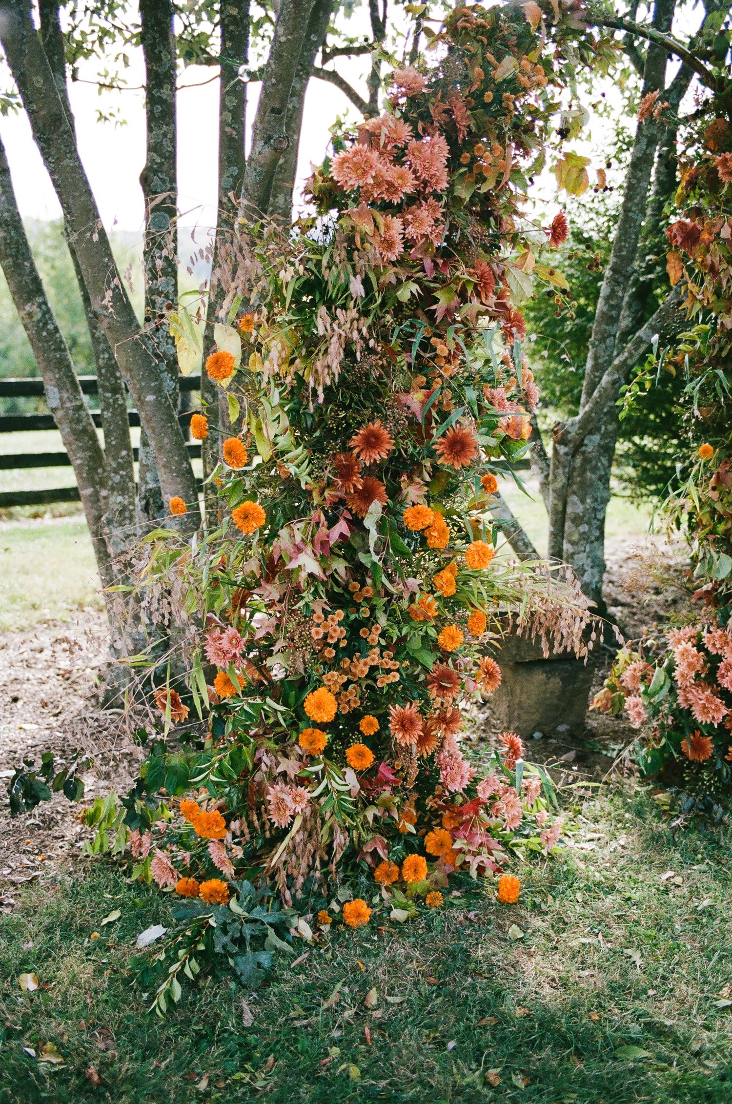 Lush floral arrangement with orange marigolds and pink dahlias cascading over a tree trunk in a garden setting.