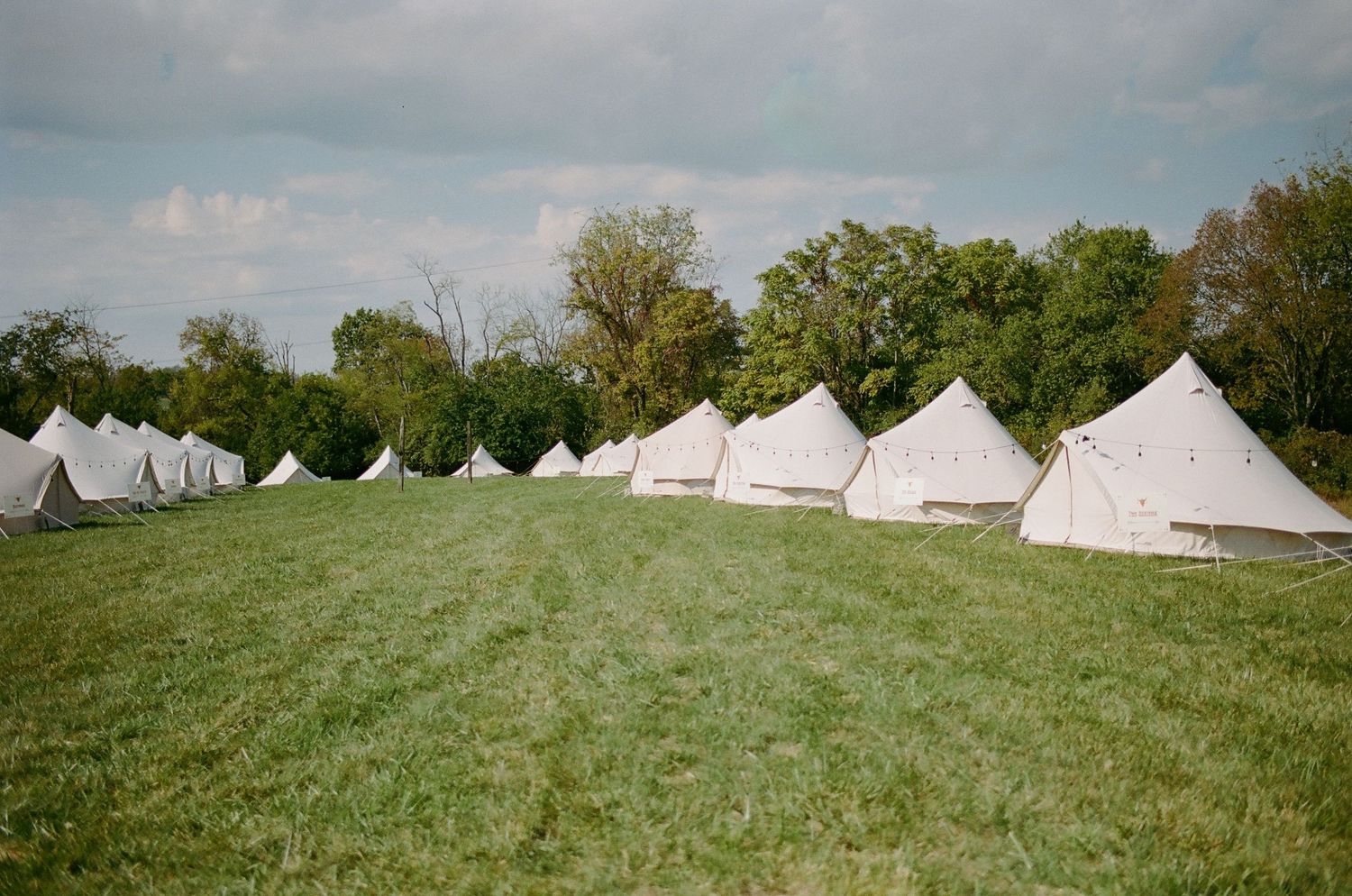 Row of white canvas bell tents set up on green grass field with trees in background at outdoor camping event.