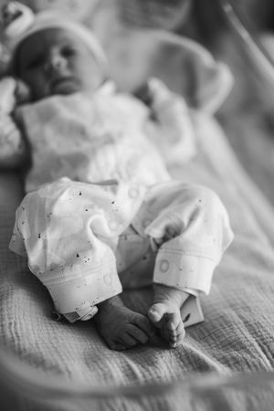 Hudson Valley Photographer