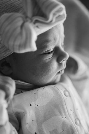 Hudson Valley Photographer