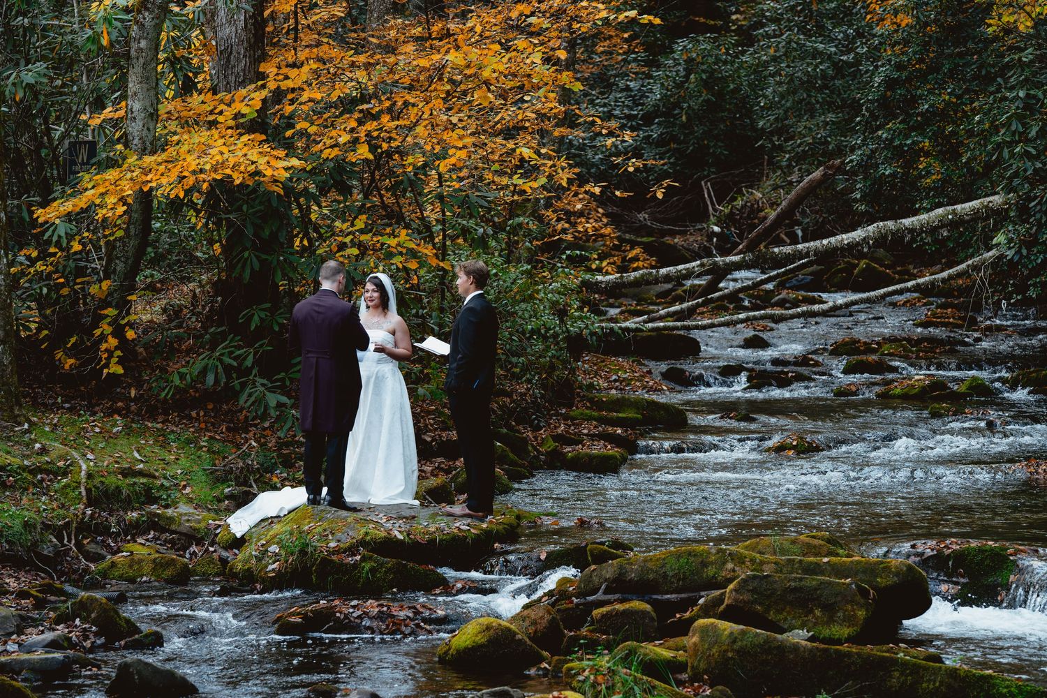 A wedding ceremony takes place beside a rushing mountain stream surrounded by autumn foliage and mossy rocks.