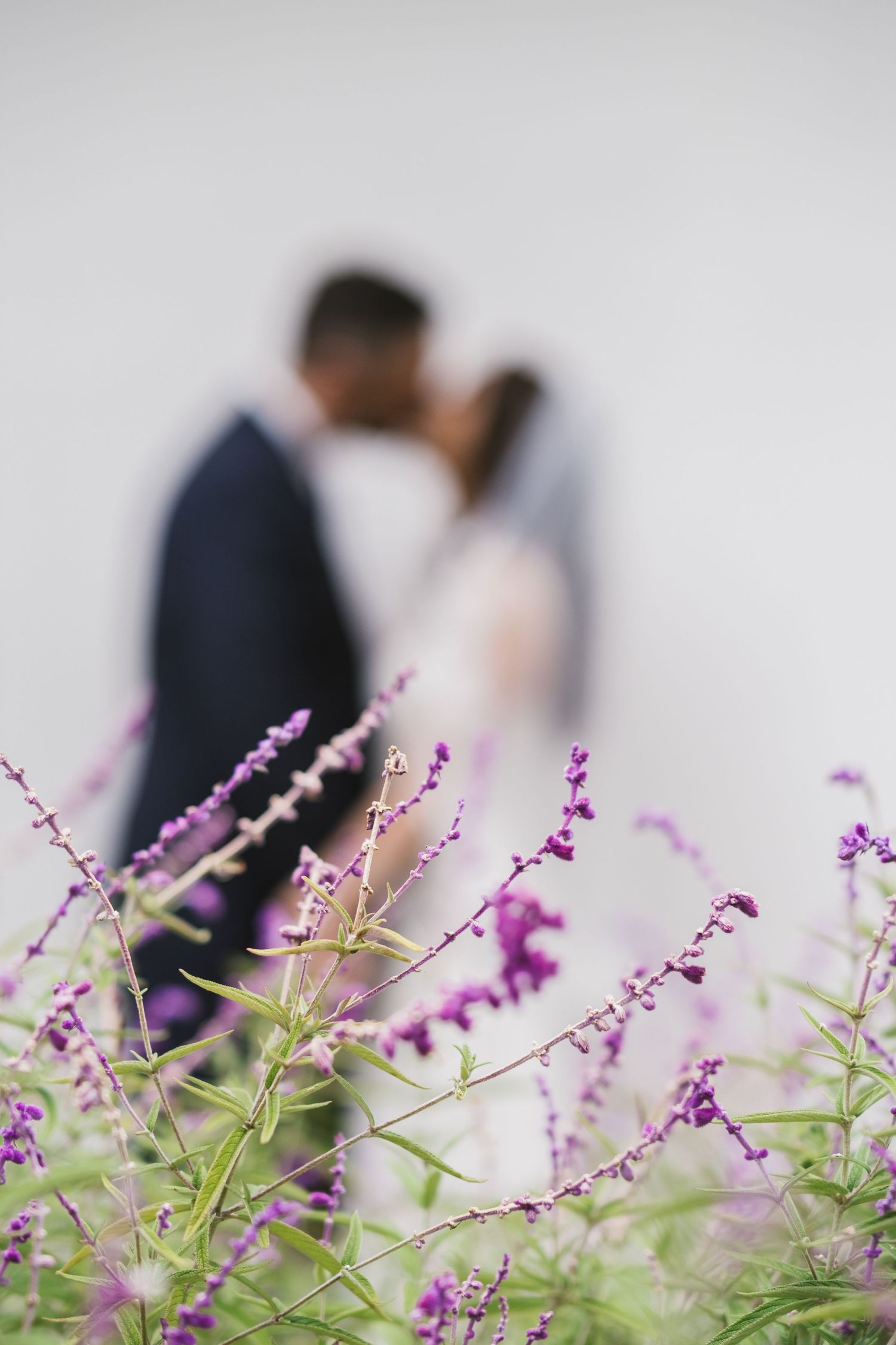Purple wildflowers bloom in the foreground while blurred figures stand in the background at an outdoor event.