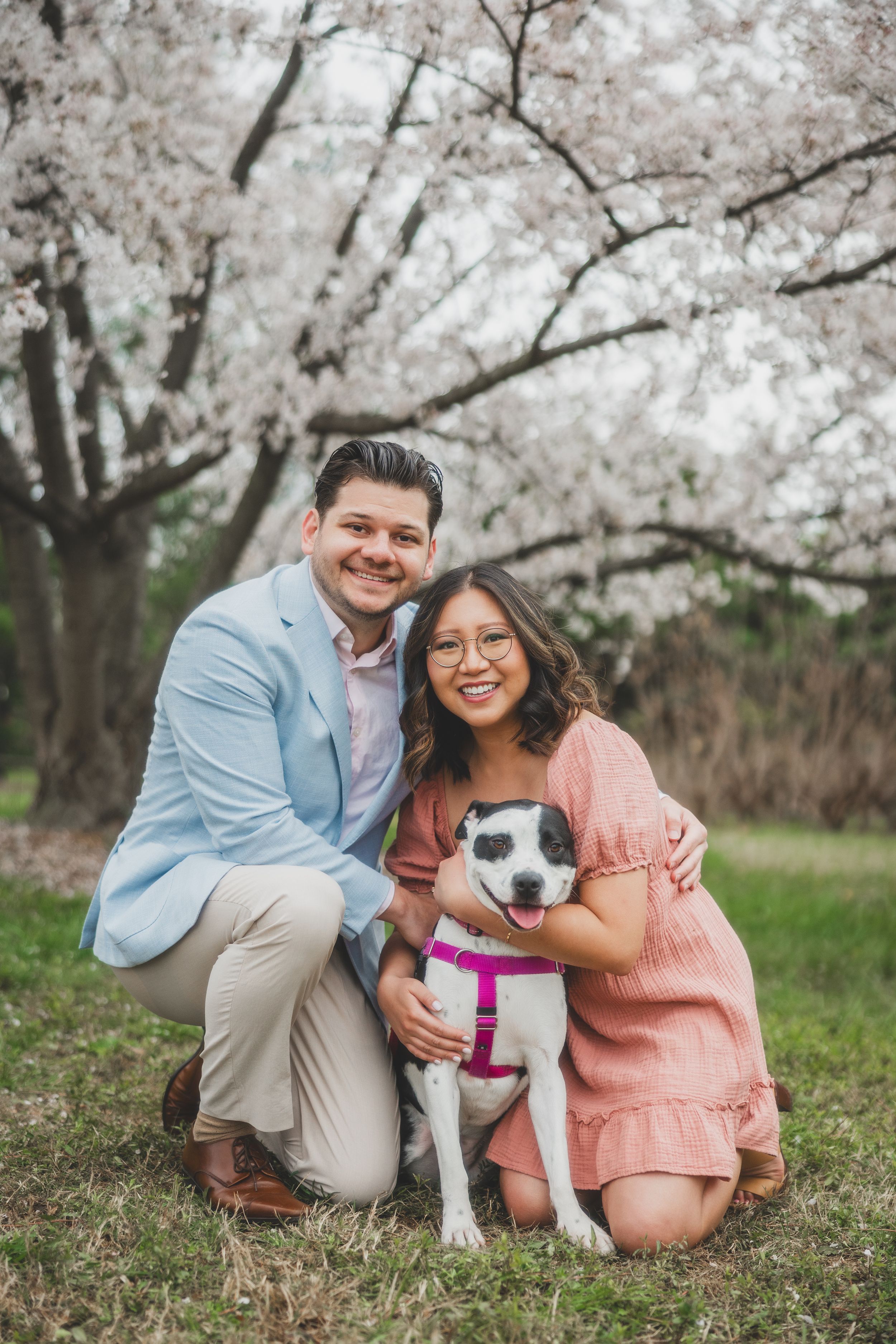 dc-cherry-blossom-engagement