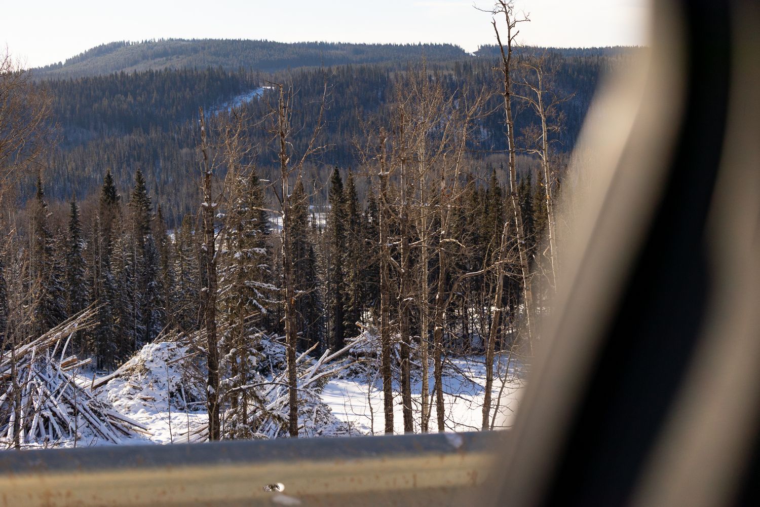 Snowy winter forest landscape viewed through a vehicle window with bare trees and snow-covered hills.