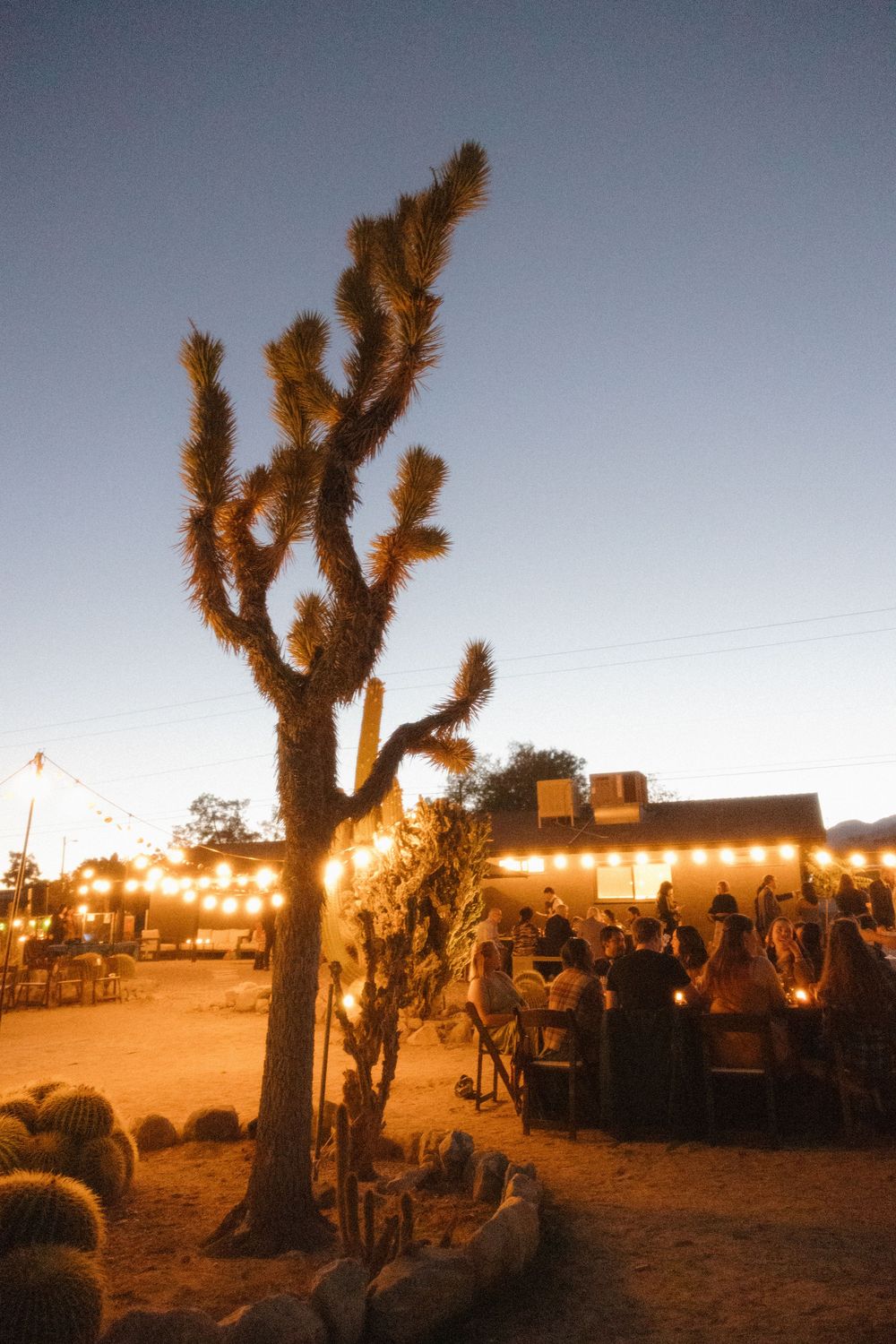 Joshua Tree National Park in Southern California wedding