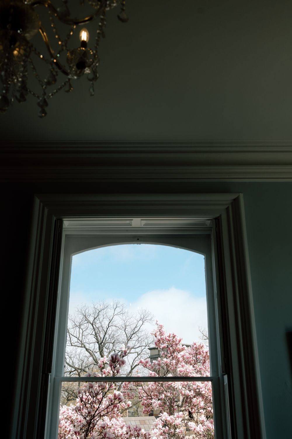 A crystal chandelier hangs elegantly above while cherry blossoms bloom outside a large arched window.