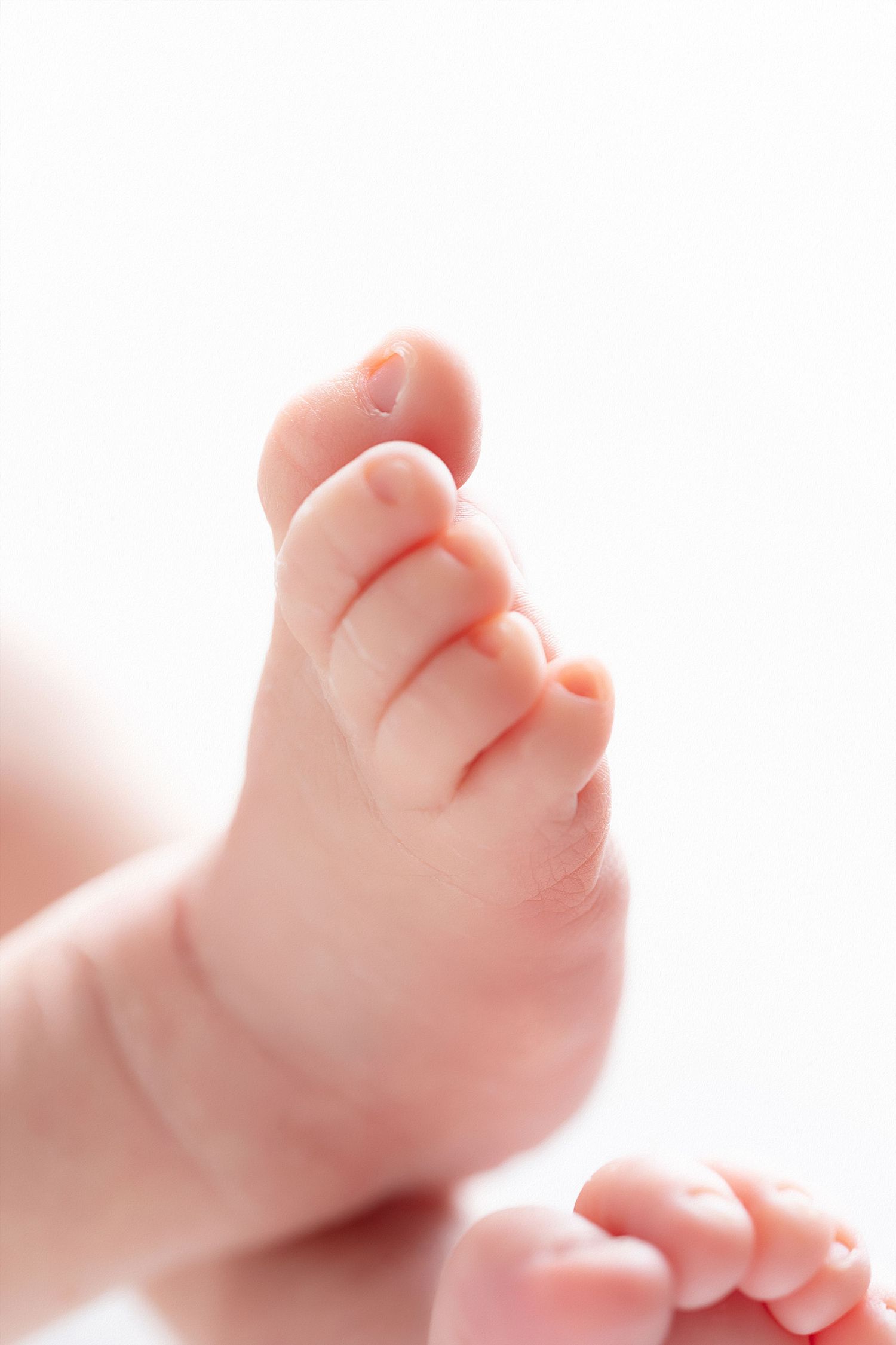 Close-up of tiny baby feet lined up in a row against white background showing delicate pink toes.