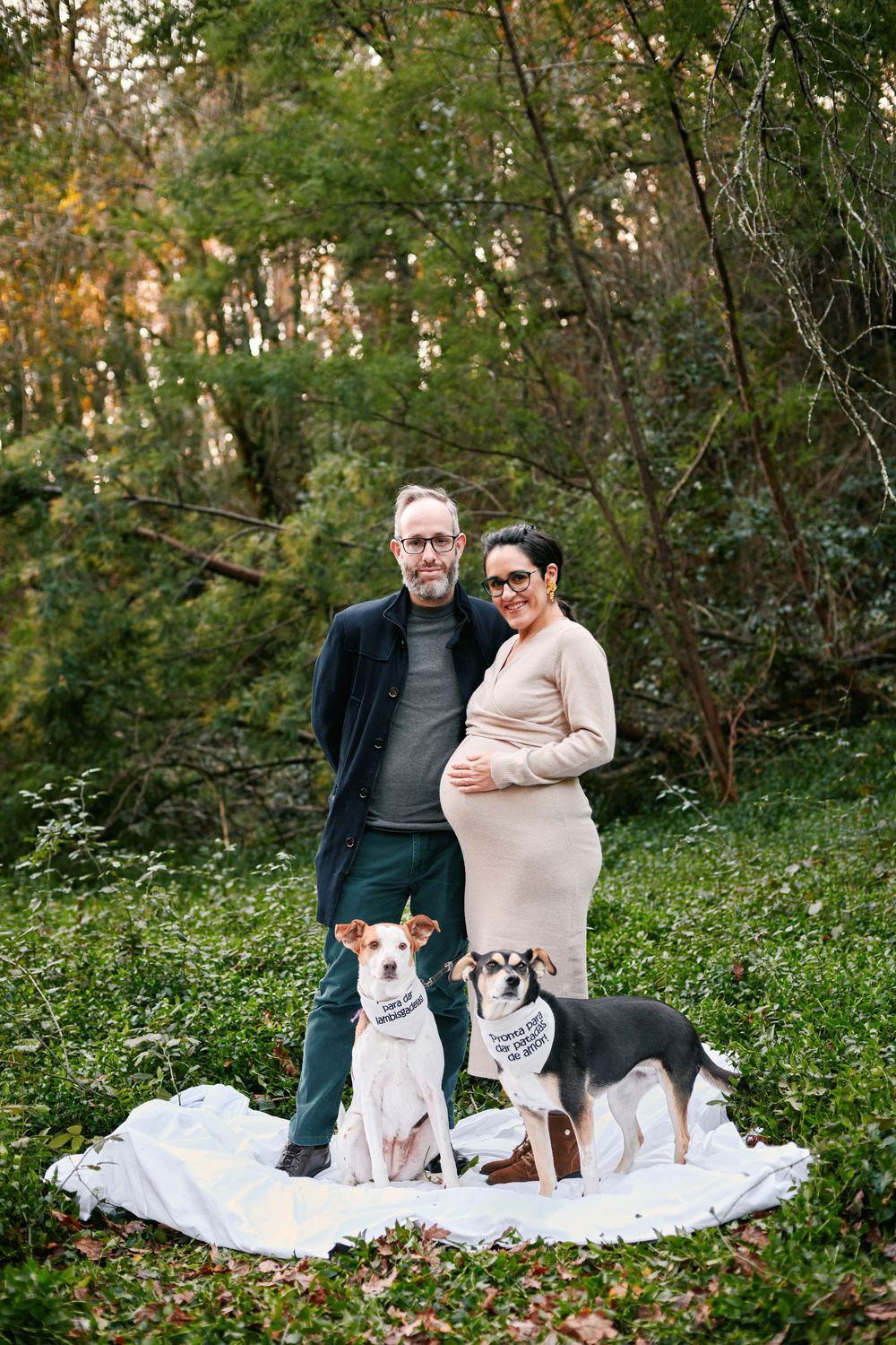 A pregnant couple posing outdoors with two dogs wearing bandanas on a white blanket in a forest.