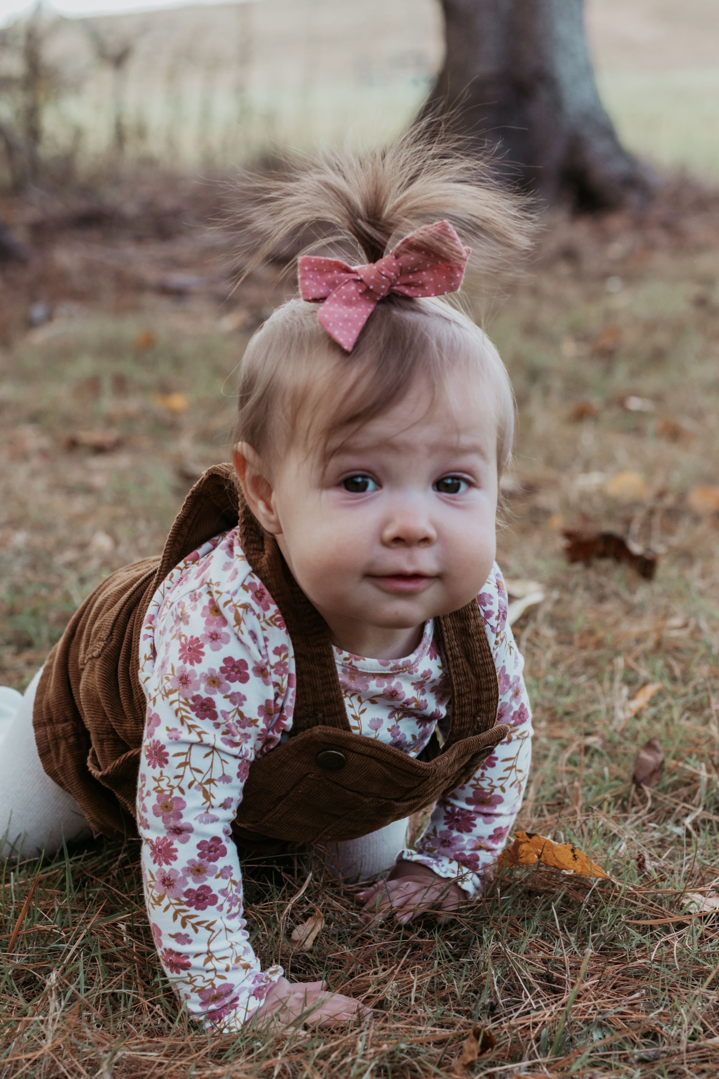 Baby in brown overalls and floral top crawling on autumn ground.