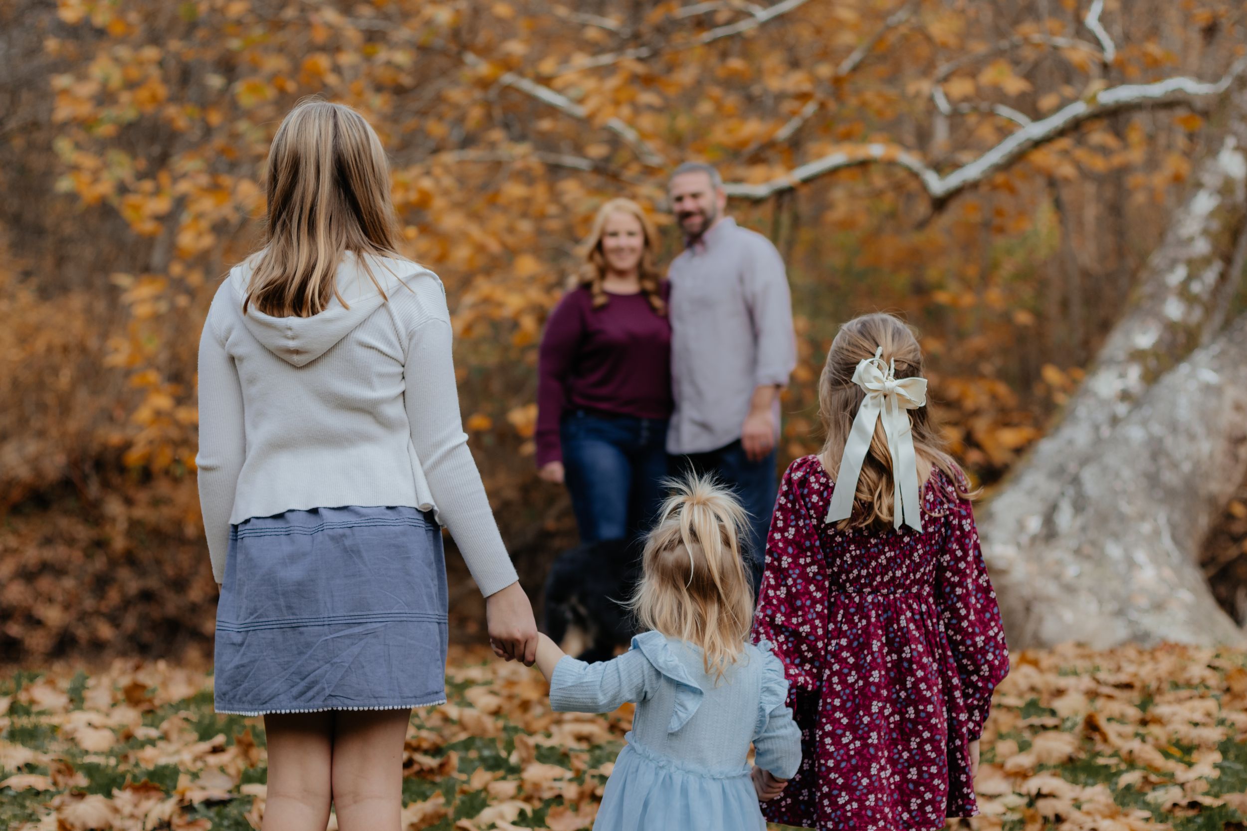 Family walking away from camera through autumn woods with fallen leaves on ground.