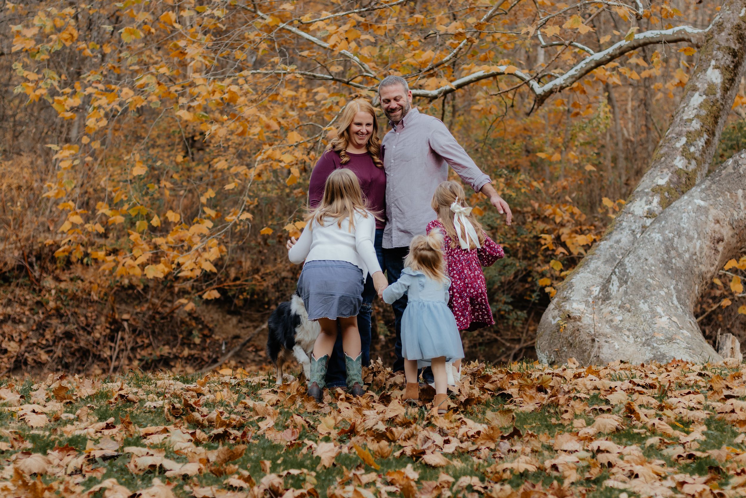 Group walking through autumn forest with fallen leaves and tall trees in background.
