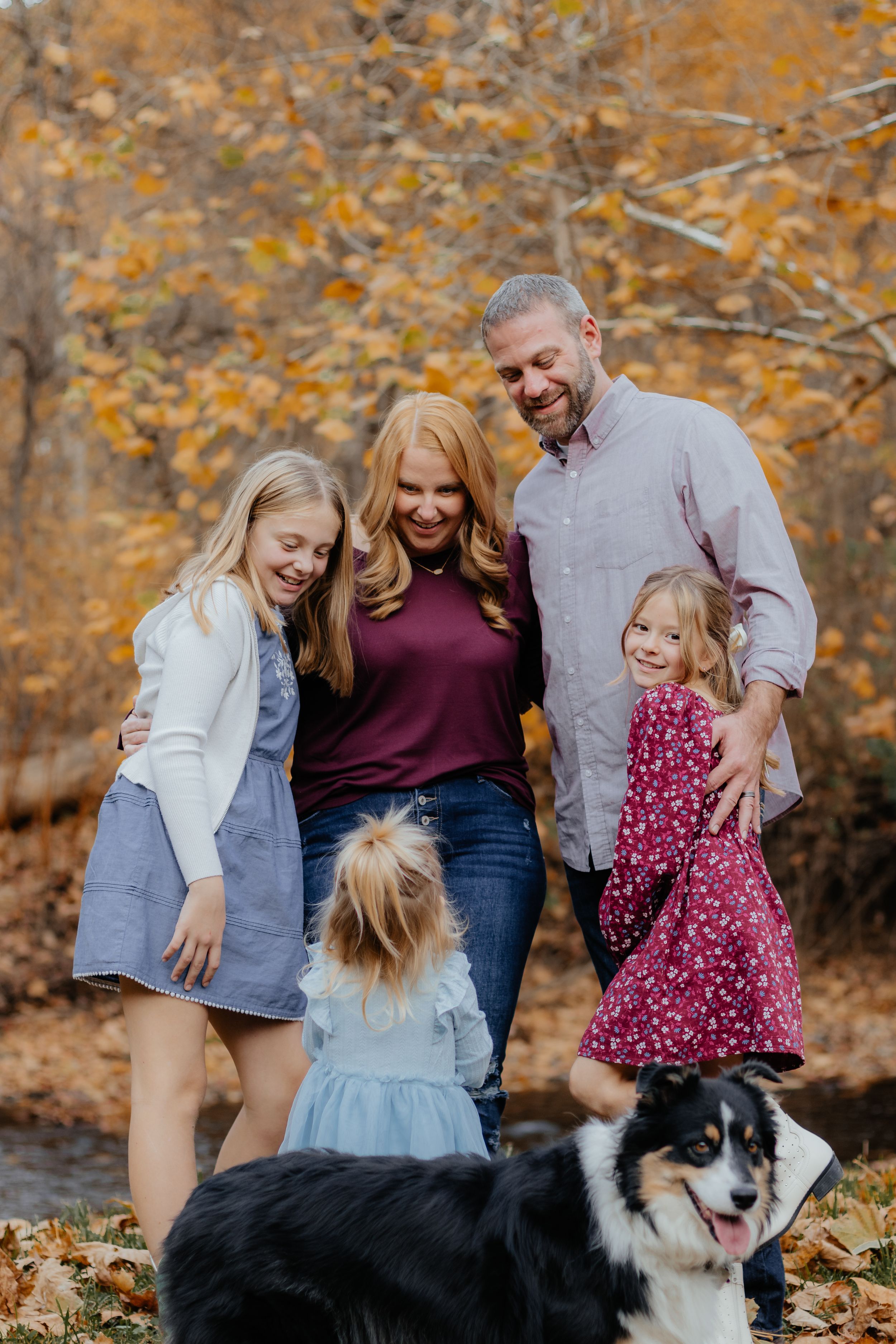 Candid family moment with border collie during fall photoshoot in wooded setting.