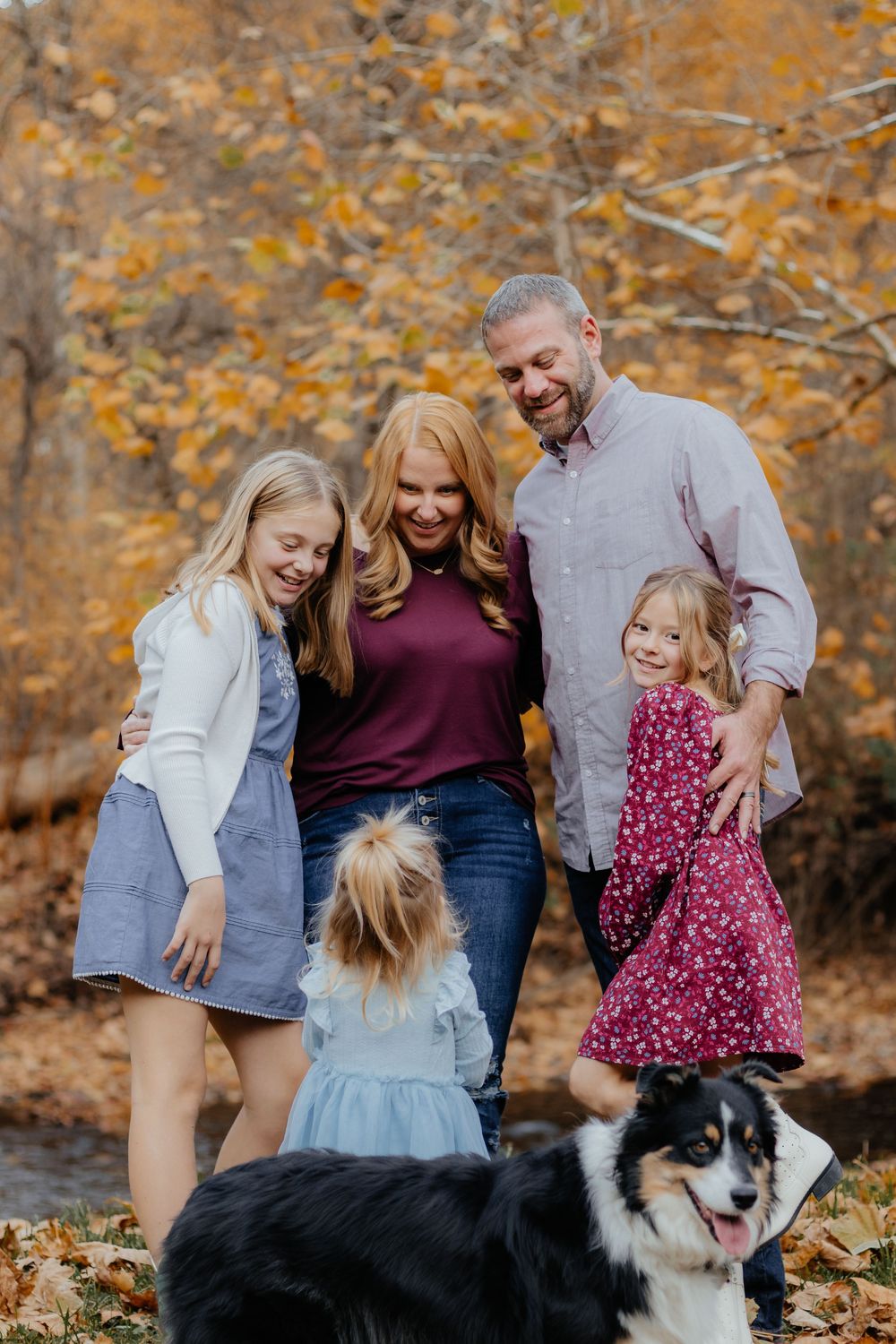 Candid family moment with border collie during fall photoshoot in wooded setting.
